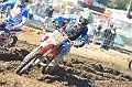 _ROB6962 (Copy)
